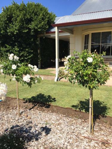Barossa Vineyard Cottages