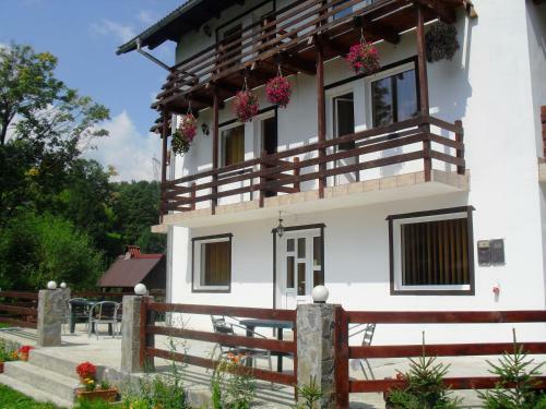 Vila Doina Branului