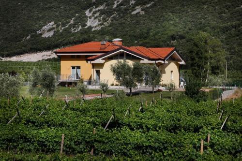 Apartamento Appartamenti Al Vigneto