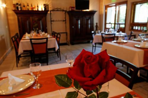 Hostal Pension Stejeris