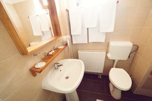 Hostal Pensiunea Moisa