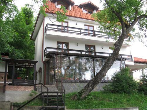 Hostal Pensiunea Moisa