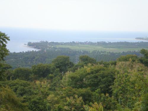 Villa The Raja Singha Boutique Resort Bali
