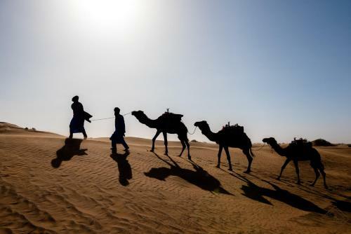 Desert Bivouac Ch�gaga