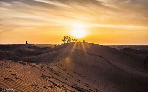 Desert Bivouac Ch�gaga