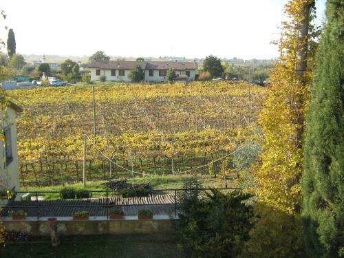 Agroturismo Affittacamere La Palazzina