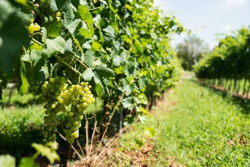 Agroturismo Affittacamere La Palazzina