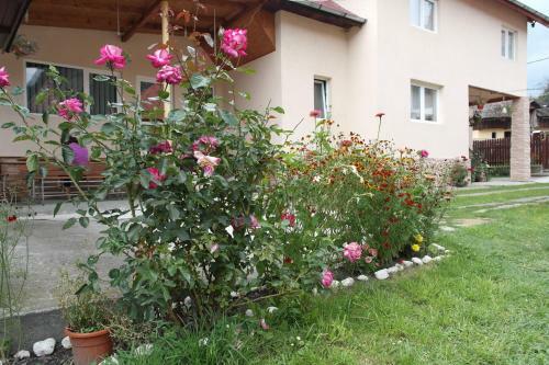 Hostal Pensiunea Arkoudaki