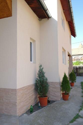 Hostal Pensiunea Arkoudaki