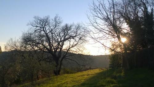 Hostal Agriturismo Terra Sabina