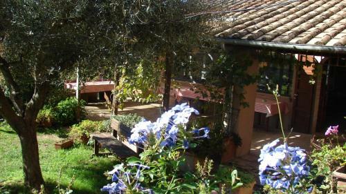 Hostal Agriturismo Terra Sabina
