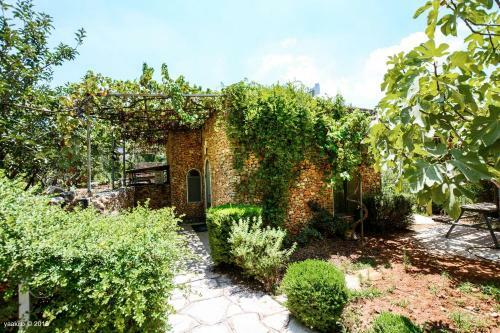 Hostal Tur Sinai Organic Farm Resort