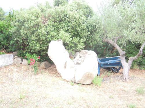 Agroturismo Camisadu