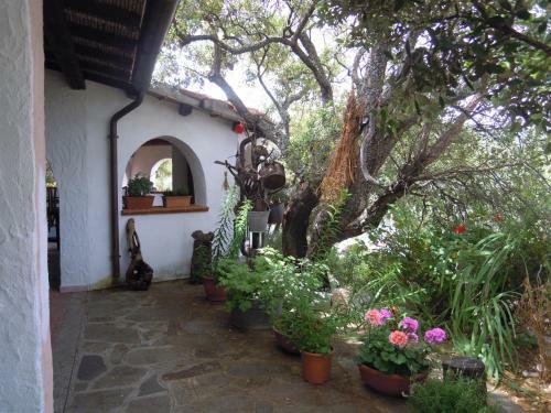 Agroturismo Camisadu