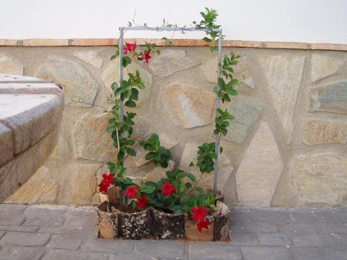 Agroturismo Viviendas Turistica La Acacia