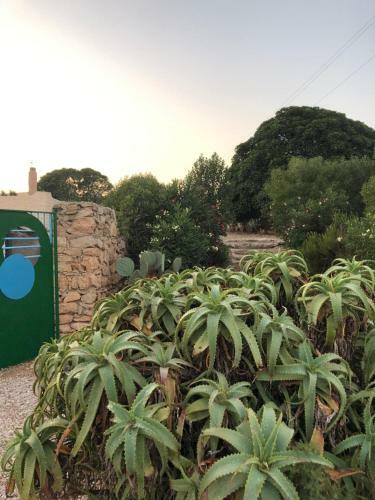 Hostal I Dammusi Blu & Green