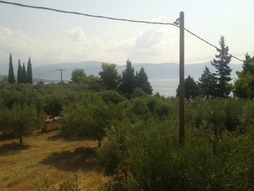 Hostal Elea