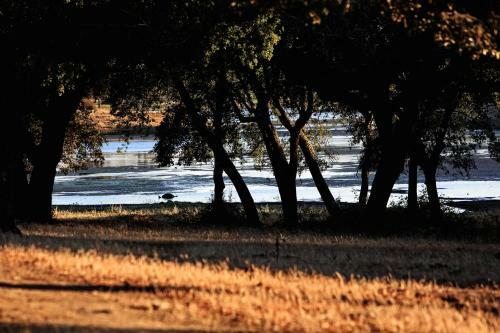 Agroturismo Herdade Da Calada