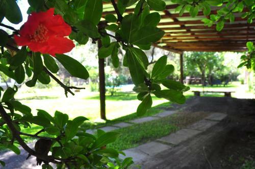 Agroturismo Los Olivos Loft