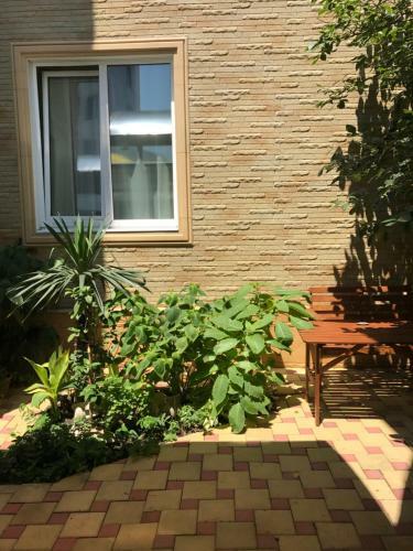 Hostal Guest House Alyans