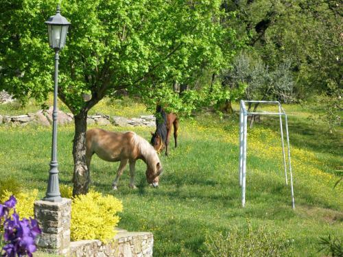 Agroturismo La Ghiandaia Casa Vacanza
