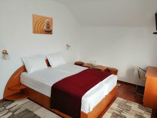 Hostal Casa Pintea