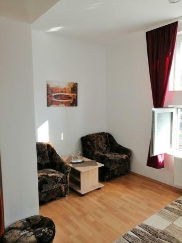 Hostal Casa Pintea