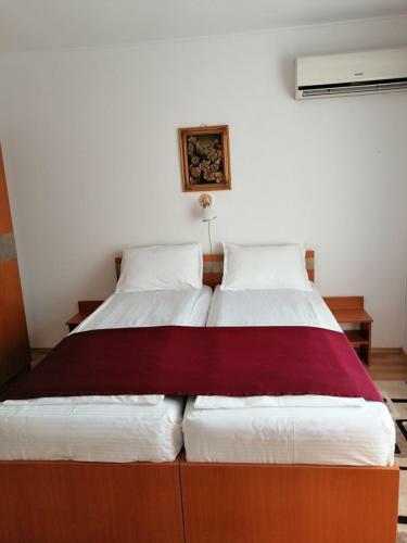Hostal Casa Pintea