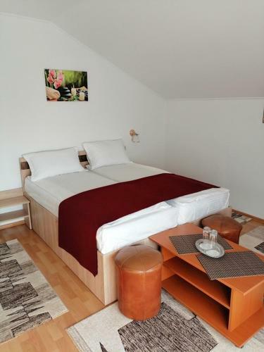 Hostal Casa Pintea