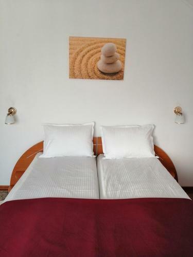 Hostal Casa Pintea