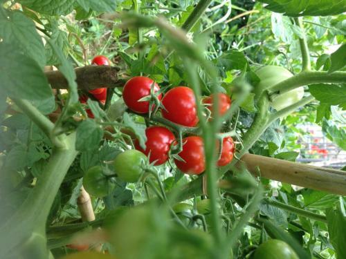 Agroturismo Country House Case Catalano