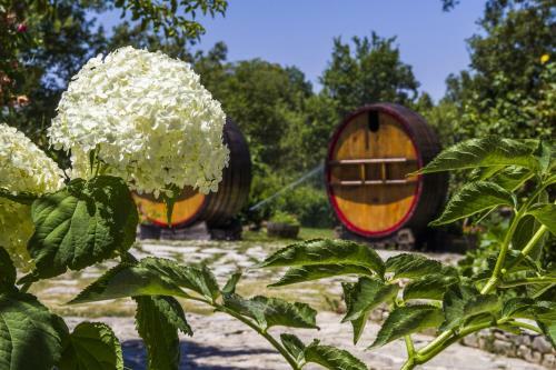 Agroturismo Country House Case Catalano