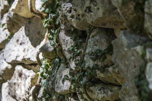 Agroturismo Country House Case Catalano