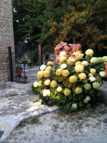 Agroturismo Country House Case Catalano
