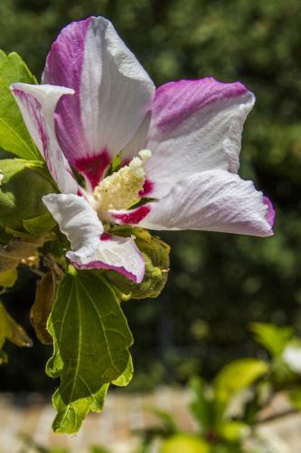 Agroturismo Country House Case Catalano