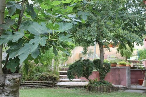 Quinta Da Alameda