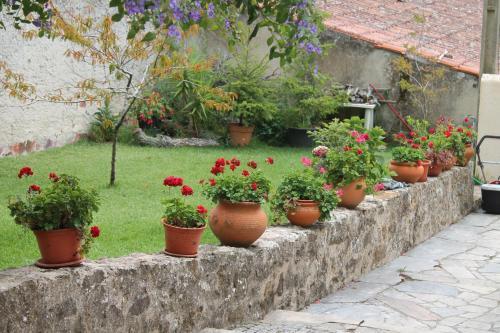 Quinta Da Alameda