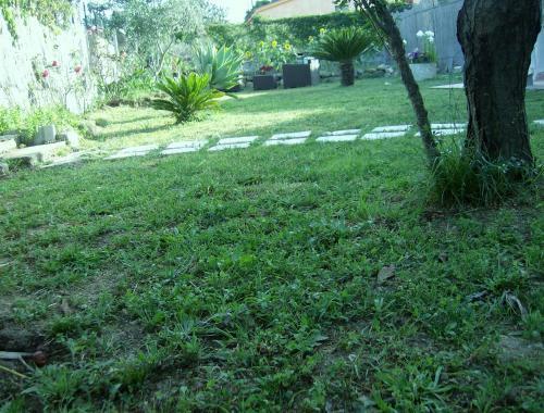 Bed & Breakfast Free Zone