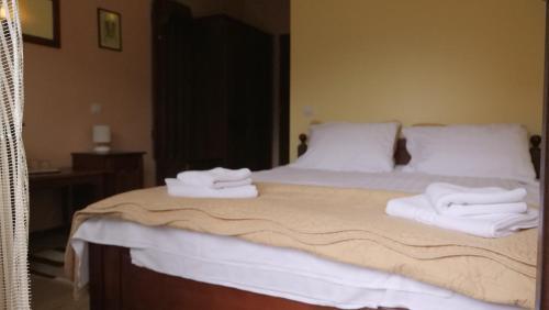 Hostal Pension Musatinii