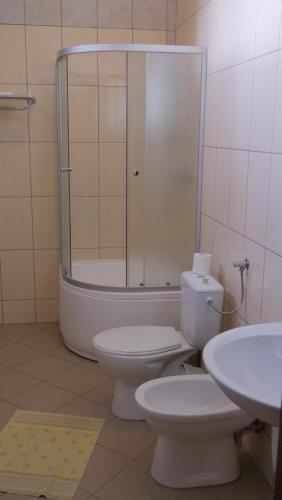 Hostal Pension Musatinii
