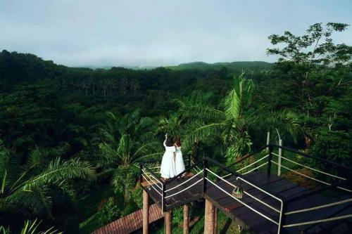 Khaosok Discovery Boutique Camps
