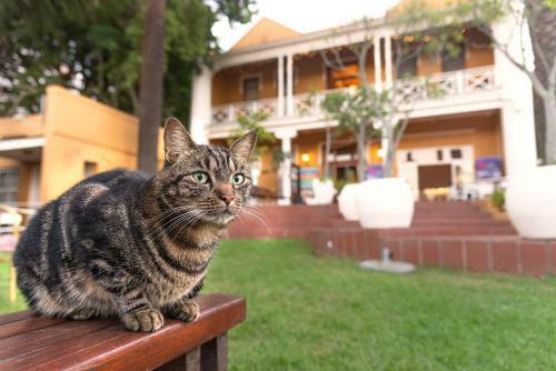 Albergue Ashanti Lodge Gardens