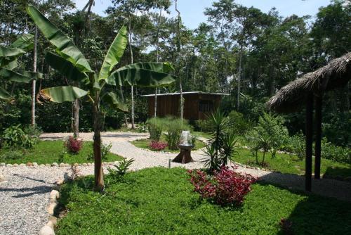 Hamadryade Lodge