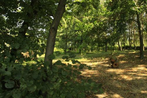 Agroturismo Kasztelania Pod Lipami