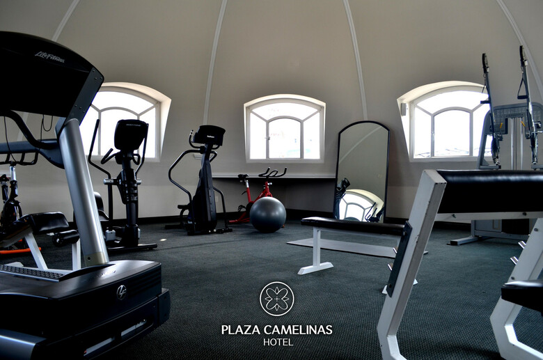 Plaza Camelinas Hotel