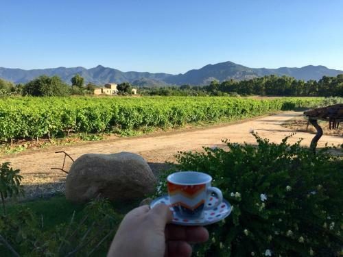 Agroturismo I Carrubi