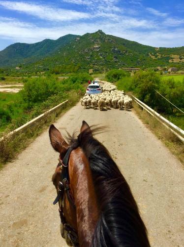 Agroturismo I Carrubi