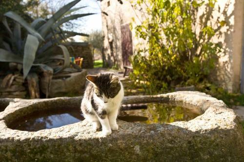 Agroturismo La Casa De Los Arribes