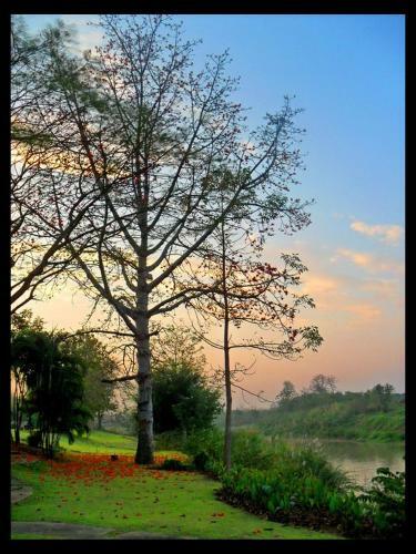 Hotel Fueng Fah Riverside Gardens Resort