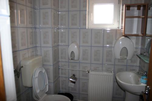 Hostal Pensiunea Pui De Urs Sirnea
